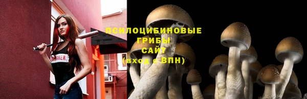 хмурый Богданович