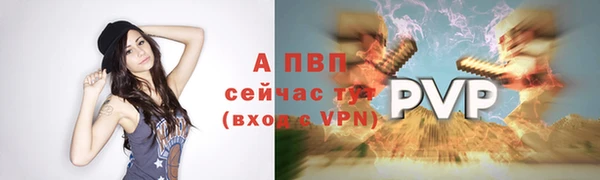 хмурый Богданович