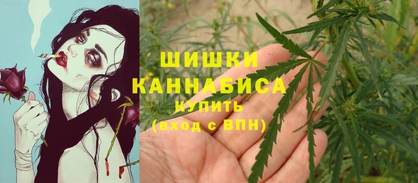 твердый Богородск