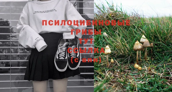 твердый Богородск