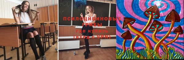 бутират Богородицк