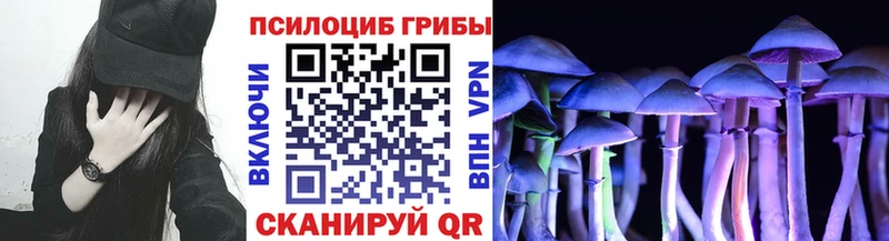 Галлюциногенные грибы мицелий  Кологрив 